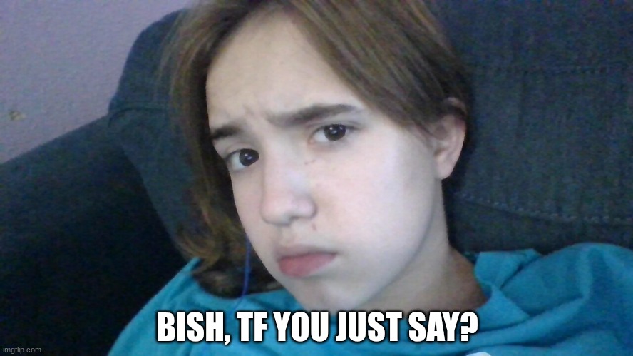 TF YOU JS SAY??? | BISH, TF YOU JUST SAY? | image tagged in tf you js say | made w/ Imgflip meme maker