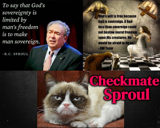 Checkmate | image tagged in christians christianity,free will,sovereignty,calvinism,arminian,checkmate | made w/ Imgflip meme maker
