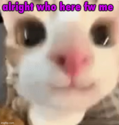 no one does lmao | alright who here fw me | image tagged in hai 3 | made w/ Imgflip meme maker