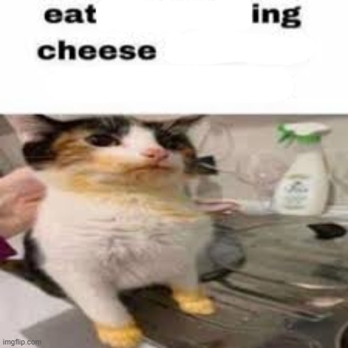 Macking Cheese from the Micheal wave | image tagged in macking cheese from the micheal wave | made w/ Imgflip meme maker