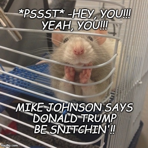 Did uh... did Mike Johnson just sneakily put the word on the streets about Dear Leader? You decide. | *PSSST* -HEY, YOU!!!
YEAH, YOU!!! MIKE JOHNSON SAYS
DONALD TRUMP
BE SNITCHIN'!! | image tagged in soooo,mike johnson,donald trump,snitch | made w/ Imgflip meme maker