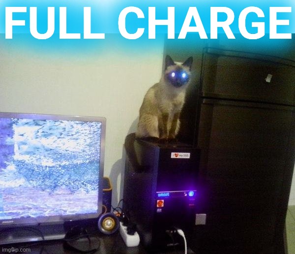 Internet Cat | FULL CHARGE | image tagged in internet cat | made w/ Imgflip meme maker