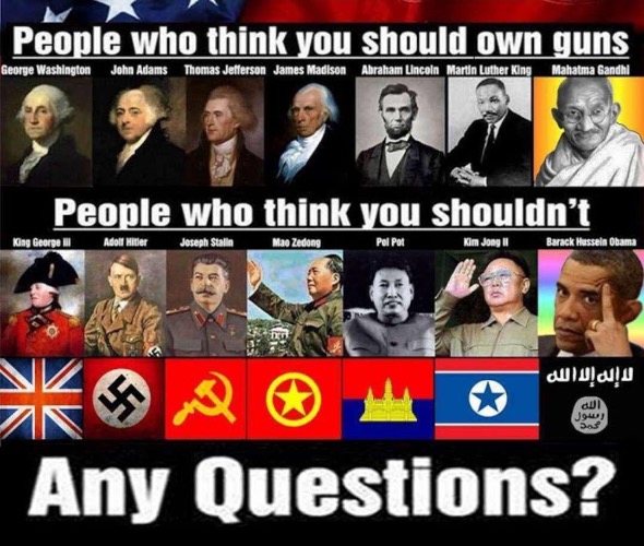 Any Questions | image tagged in guns,gun control,communist socialist,gun rights,any questions,never learn | made w/ Imgflip meme maker