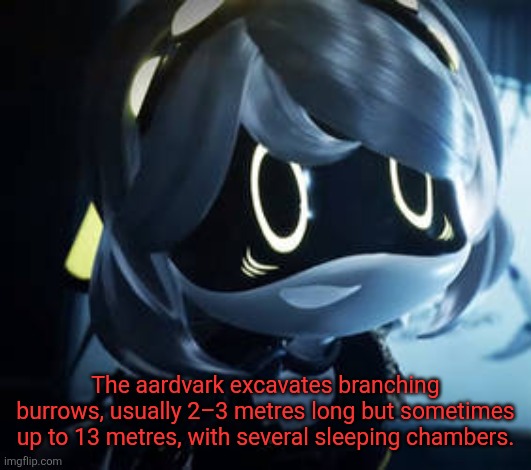 Chained up V | The aardvark excavates branching burrows, usually 2–3 metres long but sometimes up to 13 metres, with several sleeping chambers. | image tagged in chained up v | made w/ Imgflip meme maker