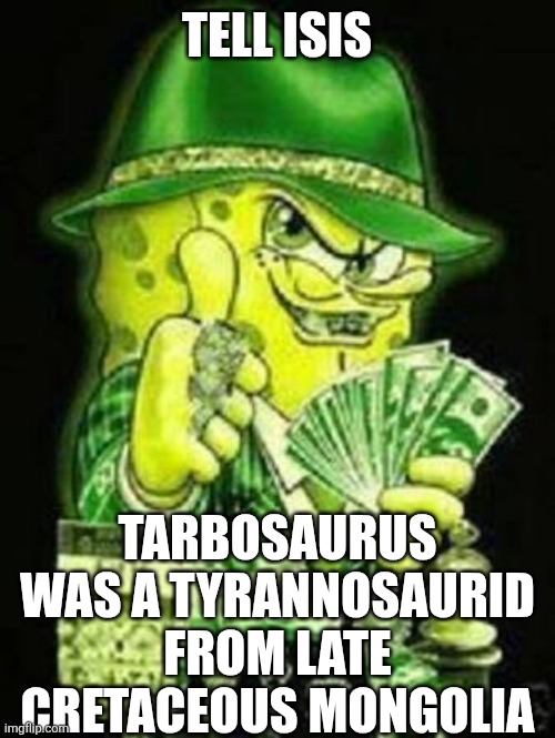 Gangsta SpongeBob | TELL ISIS; TARBOSAURUS WAS A TYRANNOSAURID FROM LATE CRETACEOUS MONGOLIA | image tagged in gangsta spongebob,shitpost,dinosaurs,isis | made w/ Imgflip meme maker