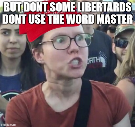 Maga Loser | BUT DONT SOME LIBERTARDS DONT USE THE WORD MASTER | image tagged in maga loser | made w/ Imgflip meme maker