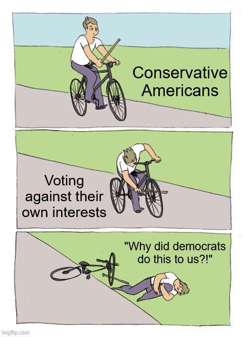 Bike Fall Meme | Conservative Americans; Voting against their own interests; "Why did democrats do this to us?!" | image tagged in memes,bike fall | made w/ Imgflip meme maker