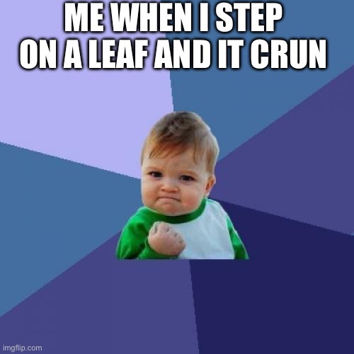 Success Kid | ME WHEN I STEP ON A LEAF AND IT CRUNCHES | image tagged in memes,success kid | made w/ Imgflip meme maker