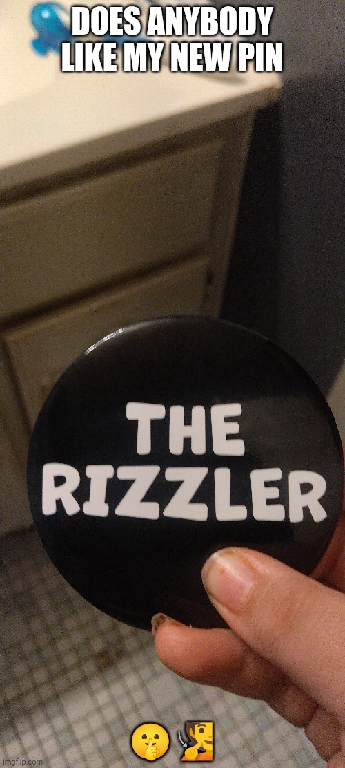 Lol | DOES ANYBODY LIKE MY NEW PIN; 🤫🧏 | made w/ Imgflip meme maker