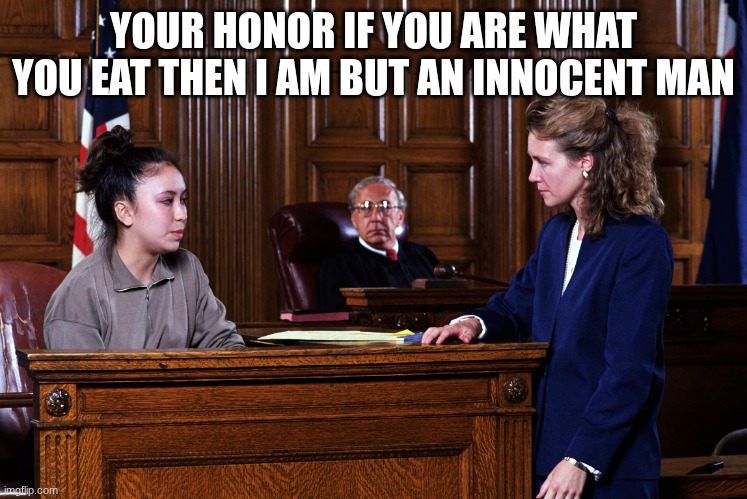 Courtroom | YOUR HONOR IF YOU ARE WHAT YOU EAT THEN I AM BUT AN INNOCENT MAN | image tagged in courtroom | made w/ Imgflip meme maker