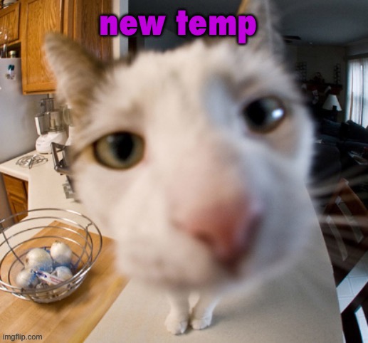 he | new temp | image tagged in he | made w/ Imgflip meme maker
