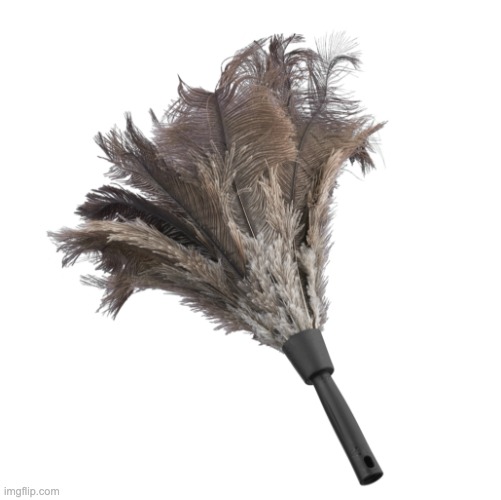 feather duster | image tagged in feather duster | made w/ Imgflip meme maker