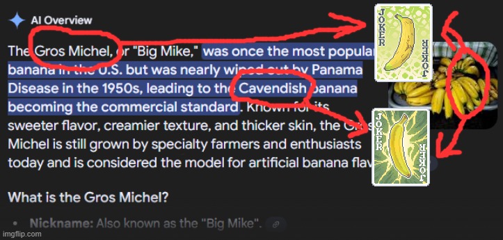 banan | made w/ Imgflip meme maker