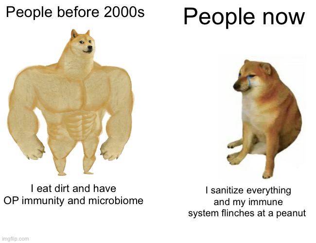 Buff Doge vs. Cheems | People before 2000s; People now; I eat dirt and have OP immunity and microbiome; I sanitize everything and my immune system flinches at a peanut | image tagged in memes,buff doge vs cheems | made w/ Imgflip meme maker