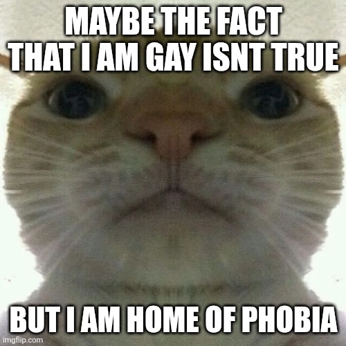 scemer | MAYBE THE FACT THAT I AM GAY ISNT TRUE; BUT I AM HOME OF PHOBIA | image tagged in scemer | made w/ Imgflip meme maker