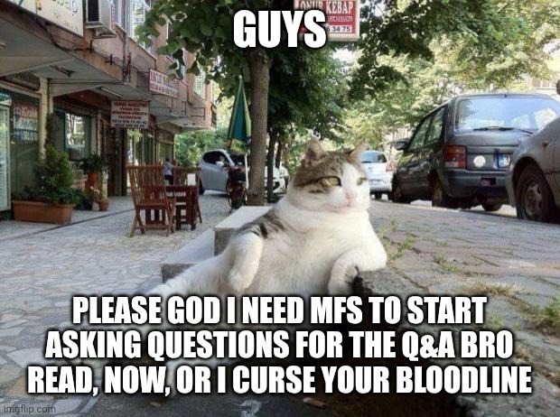 PLEASE, PLEASE PLEASE- | GUYS; PLEASE GOD I NEED MFS TO START ASKING QUESTIONS FOR THE Q&A BRO
READ, NOW, OR I CURSE YOUR BLOODLINE | image tagged in cat relax | made w/ Imgflip meme maker