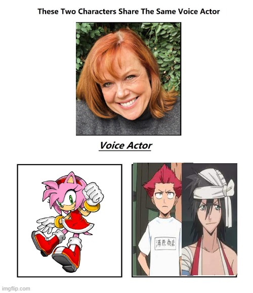 Cindy Robinson | image tagged in same voice actor,cindy robinson,sonic the hedgehog,bleach,sega,sonic | made w/ Imgflip meme maker