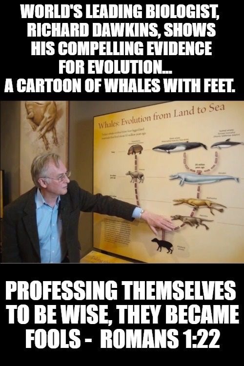 Whales With Feet | image tagged in christians christianity,the bible,fools,ignorant,jesus christ,atheist ignorance | made w/ Imgflip meme maker