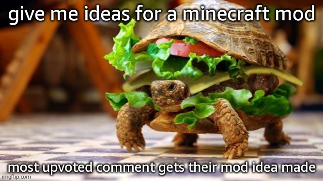 Tortoise Samwich | give me ideas for a minecraft mod; most upvoted comment gets their mod idea made | image tagged in tortoise samwich | made w/ Imgflip meme maker