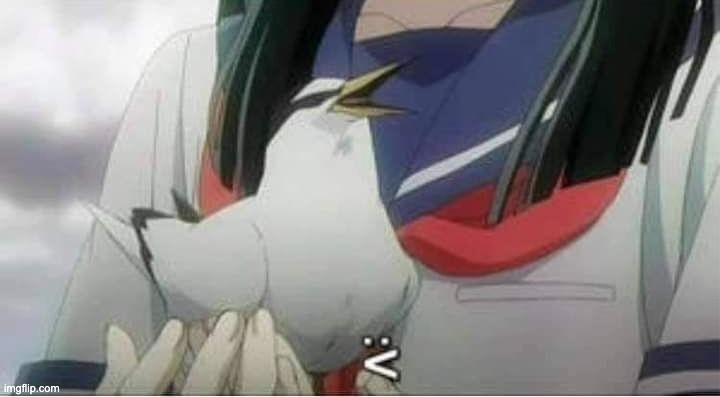 :v | made w/ Imgflip meme maker