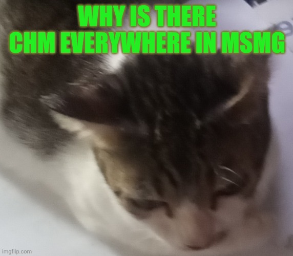 Ming mong | WHY IS THERE CHM EVERYWHERE IN MSMG | image tagged in ming mong | made w/ Imgflip meme maker