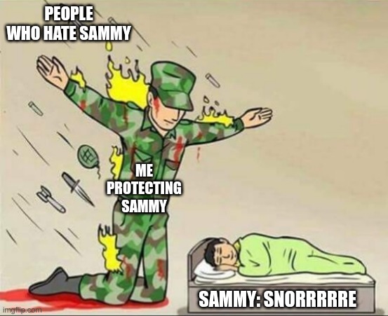 i will do anything for sammy | PEOPLE WHO HATE SAMMY; ME PROTECTING SAMMY; SAMMY: SNORRRRRE | image tagged in soldier protecting sleeping child | made w/ Imgflip meme maker