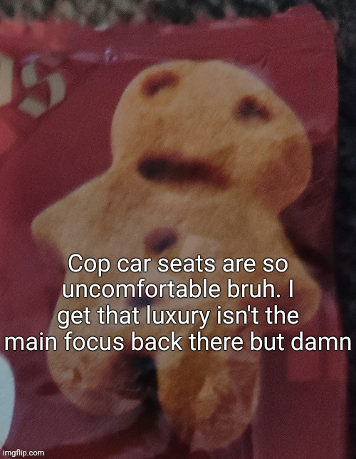 Cookie | Cop car seats are so uncomfortable bruh. I get that luxury isn't the main focus back there but damn | image tagged in cookie | made w/ Imgflip meme maker