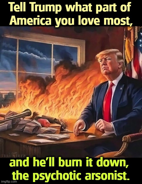 Trump burning down America, most of which hates him. | Tell Trump what part of 
America you love most, and he'll burn it down, 
the psychotic arsonist. | image tagged in trump burning down america most of which hates him,trump,arson,fascist,dictator,psycho | made w/ Imgflip meme maker