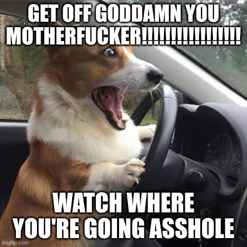 Rage Corgi | GET OFF GODDAMN YOU MOTHERFUCKER!!!!!!!!!!!!!!!!! WATCH WHERE YOU'RE GOING ASSHOLE | image tagged in rage corgi | made w/ Imgflip meme maker