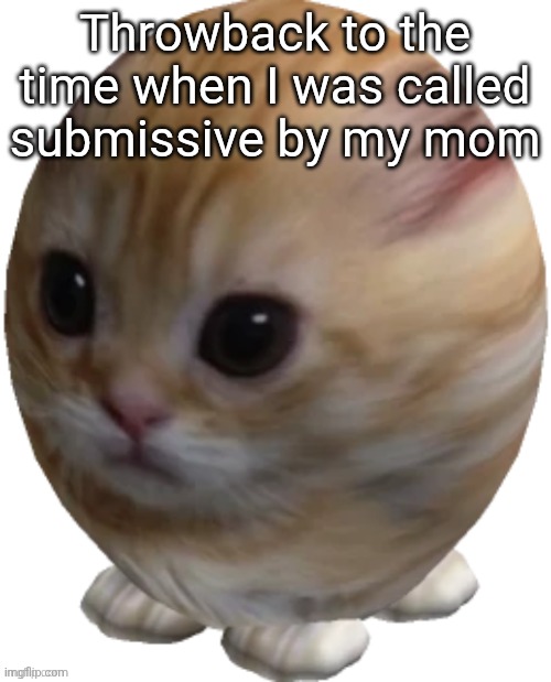 She was talking about personality but still threw me the fuck off | Throwback to the time when I was called submissive by my mom | image tagged in egg gatito | made w/ Imgflip meme maker