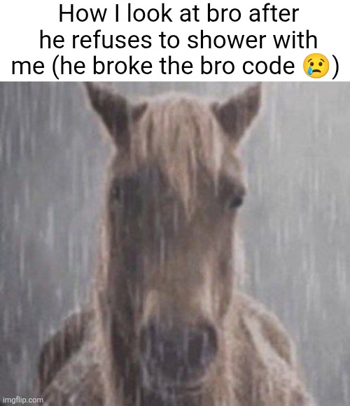 How I look at bro after he refuses to shower with me (he broke the bro code 😢) | made w/ Imgflip meme maker