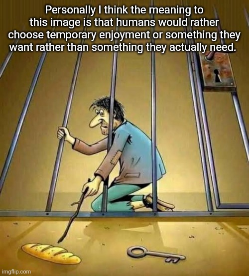 Idk what I'm talking about fr fr | Personally I think the meaning to this image is that humans would rather choose temporary enjoyment or something they want rather than something they actually need. | made w/ Imgflip meme maker