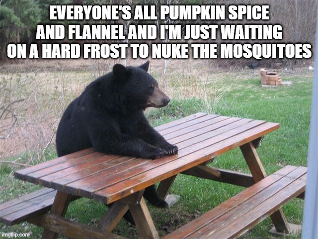 Hoping for an early frost | EVERYONE'S ALL PUMPKIN SPICE AND FLANNEL AND I'M JUST WAITING ON A HARD FROST TO NUKE THE MOSQUITOES | image tagged in patient bear | made w/ Imgflip meme maker
