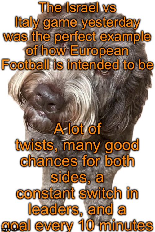 I wish I could have watched it (it ended with a 5-4 victory for Italy btw) | The Israel vs Italy game yesterday was the perfect example of how European Football is intended to be; A lot of twists, many good chances for both sides, a constant switch in leaders, and a goal every 10 minutes | image tagged in norther's dog | made w/ Imgflip meme maker