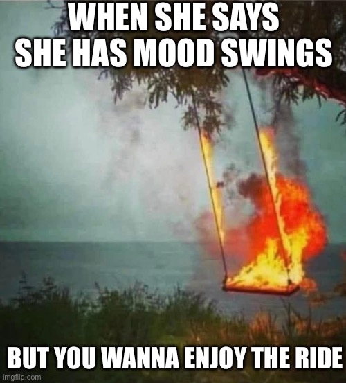 Enjoy the ride | WHEN SHE SAYS SHE HAS MOOD SWINGS; BUT YOU WANNA ENJOY THE RIDE | image tagged in moody,swing,mood,kamen rider | made w/ Imgflip meme maker