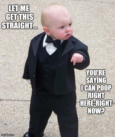 Baby Godfather Meme | LET ME GET THIS STRAIGHT... YOU'RE SAYING I CAN POOP RIGHT HERE-RIGHT NOW? | image tagged in memes,baby godfather | made w/ Imgflip meme maker