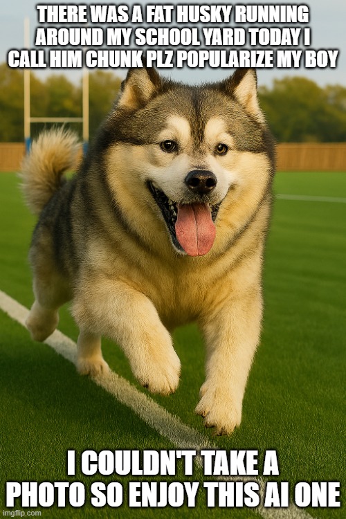 there was an announcement and everything | THERE WAS A FAT HUSKY RUNNING AROUND MY SCHOOL YARD TODAY I CALL HIM CHUNK PLZ POPULARIZE MY BOY; I COULDN'T TAKE A PHOTO SO ENJOY THIS AI ONE | image tagged in dogs | made w/ Imgflip meme maker