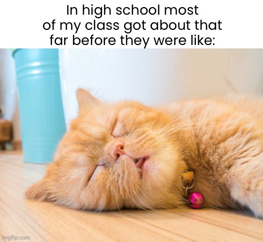 In high school most of my class got about that far before they were like: | made w/ Imgflip meme maker