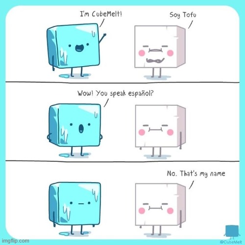 image tagged in cubes,ice cube,soy,tofu,spanish,name | made w/ Imgflip meme maker