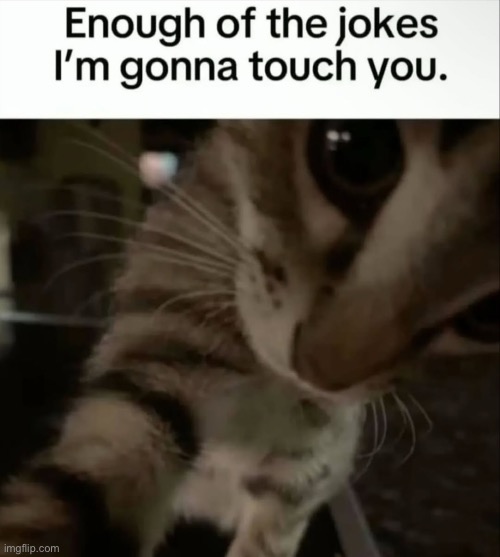 Enough of the jokes, I'm gonna touch you | image tagged in enough of the jokes i'm gonna touch you | made w/ Imgflip meme maker