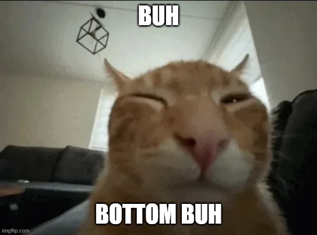 buh cat | BUH BOTTOM BUH | image tagged in buh cat | made w/ Imgflip meme maker