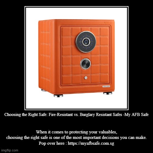 Choosing the Right Safe: Fire-Resistant vs. Burglary Resistant Safes -My AFB Safe | When it comes to protecting your valuables, choosing the | image tagged in funny,demotivationals | made w/ Imgflip demotivational maker