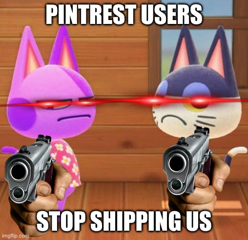is disgusting stop 0-0 | PINTREST USERS; STOP SHIPPING US | image tagged in punchy and bob judgeing you,meme,animal crossing | made w/ Imgflip meme maker