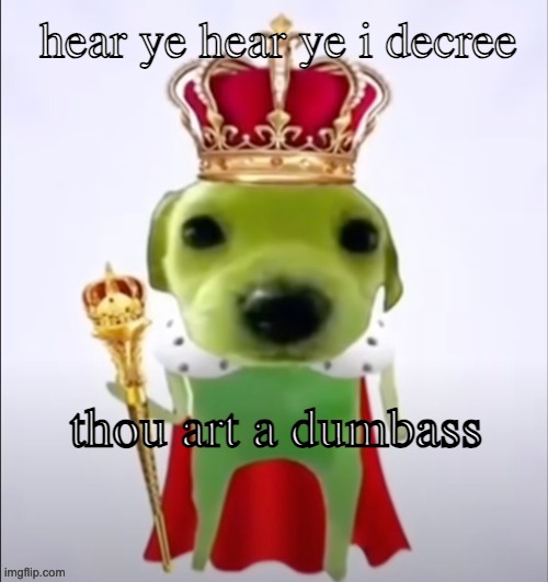 new temp i made | thou art a dumbass | image tagged in hear ye hear ye i decree | made w/ Imgflip meme maker