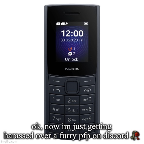 “Why are you a furry?” Like SYFM | ok, now im just getting harassed over a furry pfp on discord 🥀 | image tagged in nokia 110 4g | made w/ Imgflip meme maker