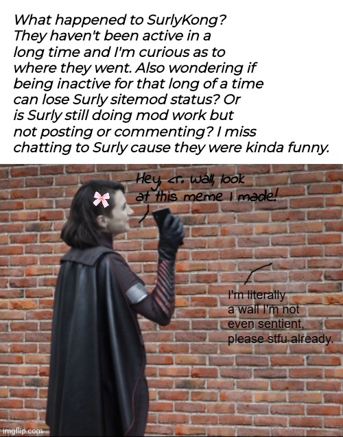 With all the users leaving I'm going to be even more lonely than I already am on Imgflip. | What happened to SurlyKong? They haven't been active in a long time and I'm curious as to where they went. Also wondering if being inactive for that long of a time can lose Surly sitemod status? Or is Surly still doing mod work but not posting or commenting? I miss chatting to Surly cause they were kinda funny. | image tagged in stormfront talking to a wall | made w/ Imgflip meme maker