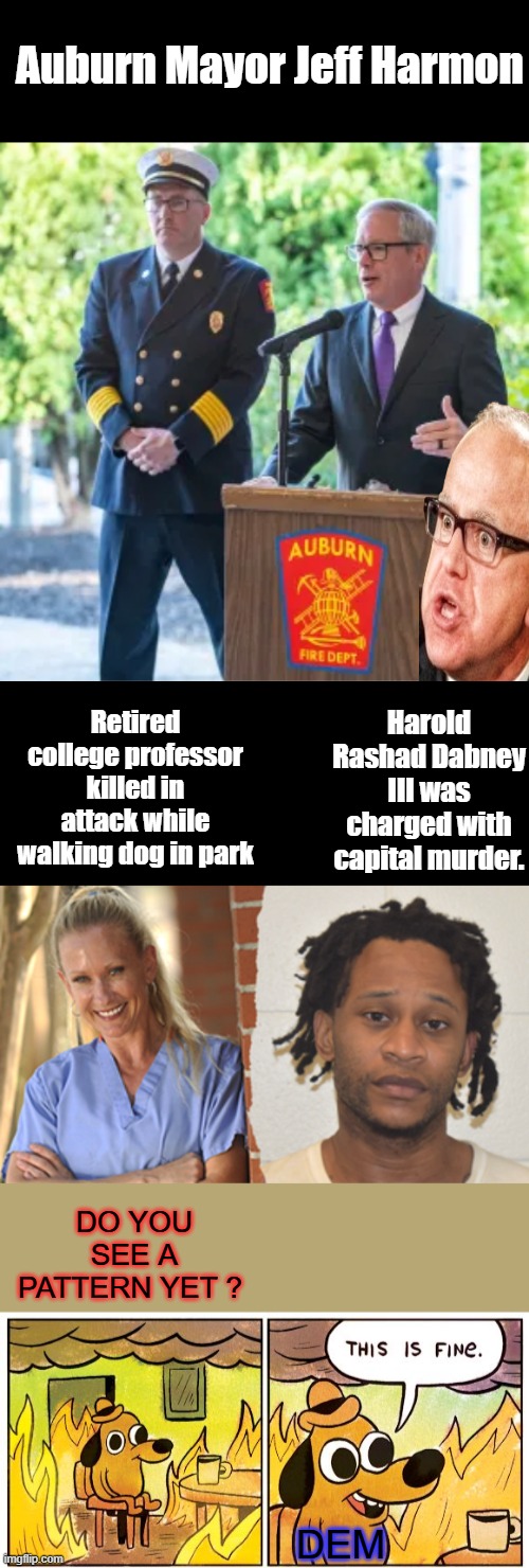 Auburn Mayor Jeff Harmon; Retired college professor killed in attack while walking dog in park; Harold Rashad Dabney III was charged with capital murder. DO YOU SEE A PATTERN YET ? DEM | image tagged in memes,this is fine | made w/ Imgflip meme maker