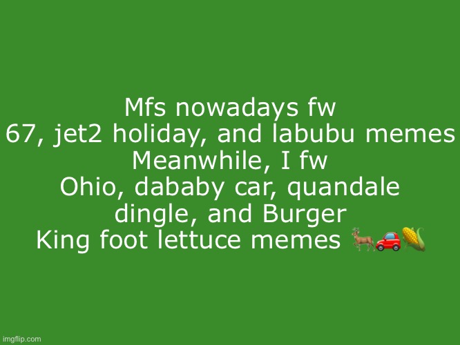 Tikole.Mibolles text temp | Mfs nowadays fw 67, jet2 holiday, and labubu memes
Meanwhile, I fw Ohio, dababy car, quandale dingle, and Burger King foot lettuce memes 🦌🚗🌽 | image tagged in tikole mibolles text temp | made w/ Imgflip meme maker