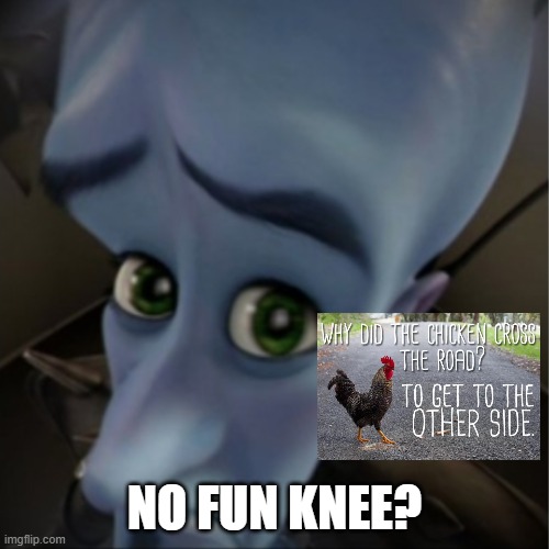 No fun knee? | NO FUN KNEE? | image tagged in megamind peeking | made w/ Imgflip meme maker