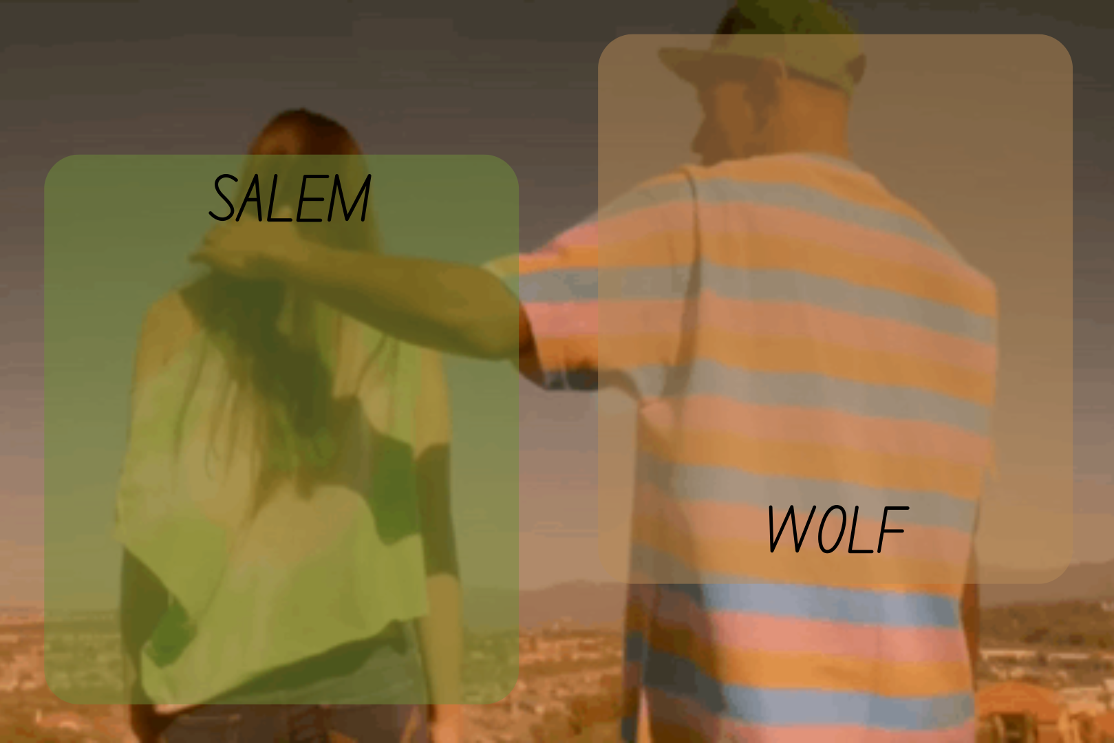 High Quality moons and foxed - salem n wolf temp Blank Meme Template